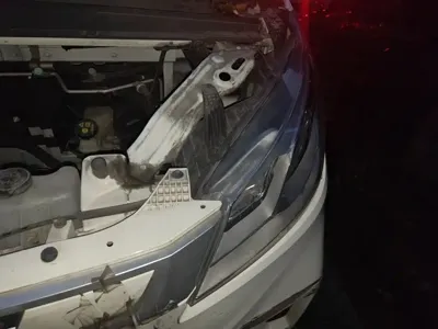 大通 EV30