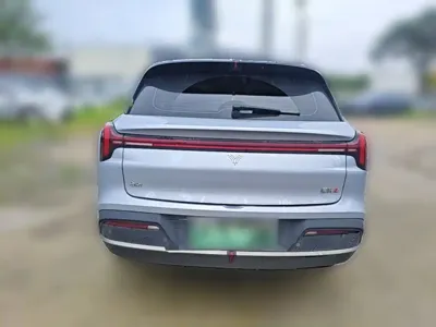 NETA Neta L