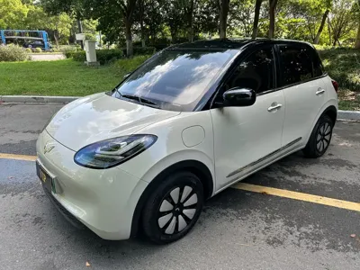 Wuling Bingo