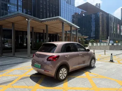 Wuling Bingo