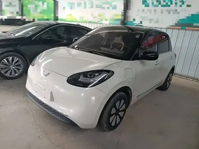 Wuling Bingo