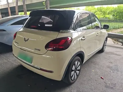 Wuling Bingo