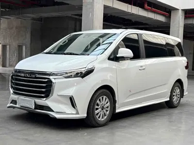大通 G20
