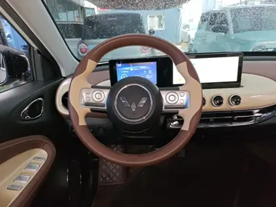 Wuling Bingo