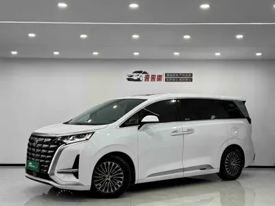 Denza Denza D9