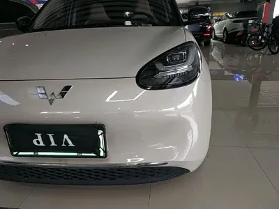 Wuling Bingo