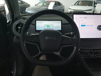 BYD Sea Lion 05