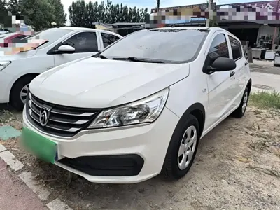 Baojun 310