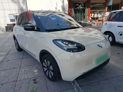 Wuling Bingo
