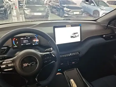 BYD Seagull