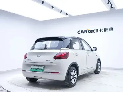 Wuling Bingo