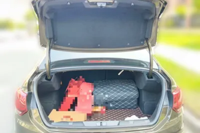 Citroen C4L