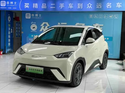 BYD Seagull