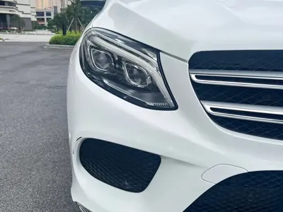 Mercedes-Benz 奔驰GLE(进口)