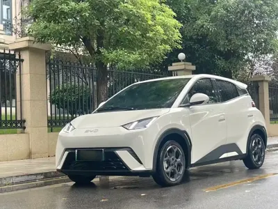 BYD Seagull