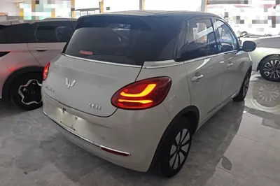 Wuling Bingo