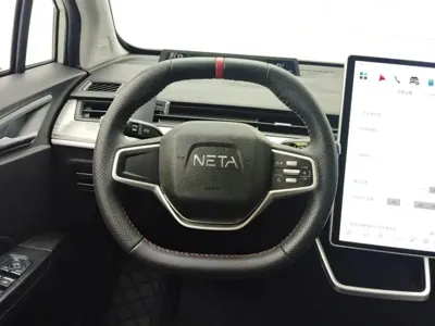 NETA Neta V
