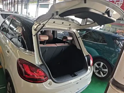 Wuling Bingo