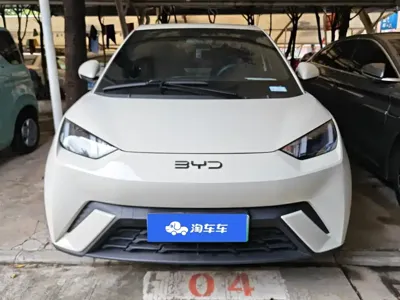 BYD Seagull