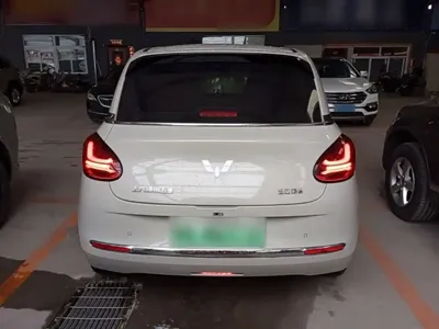 Wuling Bingo