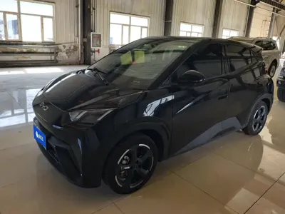 BYD Seagull