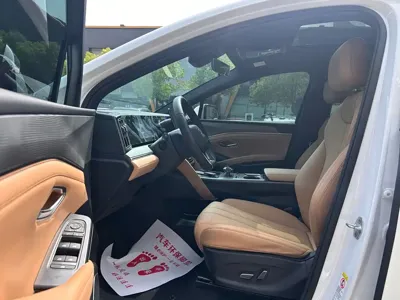 BYD L DM-i