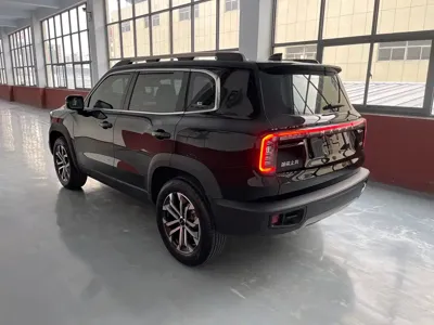 Haval Big Dog