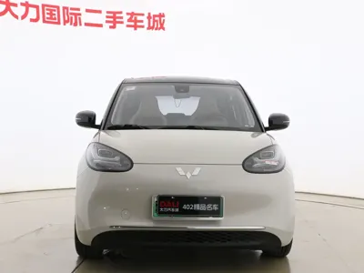Wuling Bingo