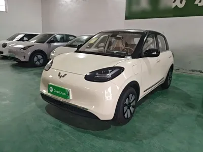 Wuling Bingo