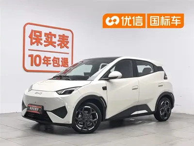 BYD Seagull