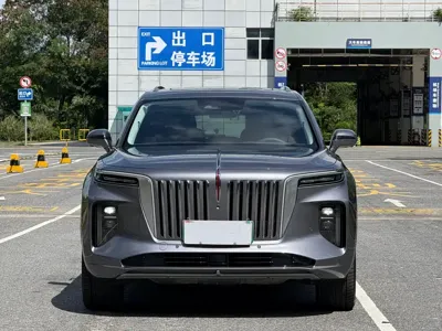 Hongqi Hongqi E-HS9