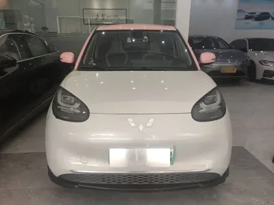 Wuling Bingo