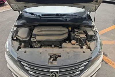 Baojun 310W
