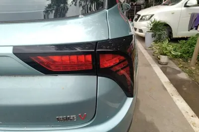NETA V