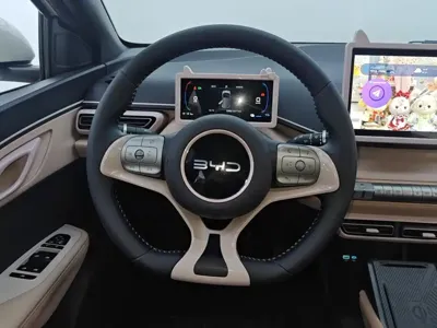 BYD Seagull