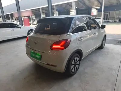 Wuling Bingo