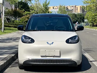 Wuling Bingo