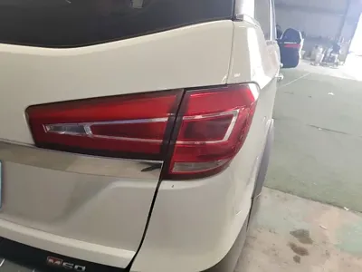 BAW Weiwang M60
