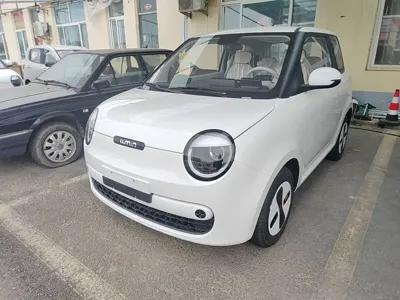 Qiyuan Lumin