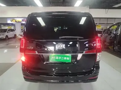 Fengxing Lingzhi PLUS