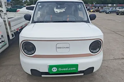 Geely Galaxy Panda