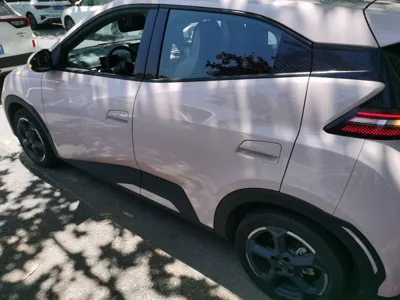 BYD Seagull