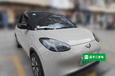 Wuling Bingo