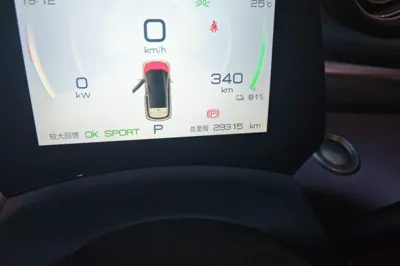 BYD Dolphin
