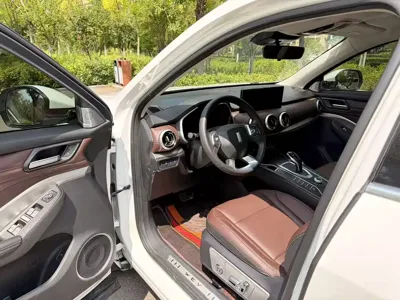 WEY Wey VV6