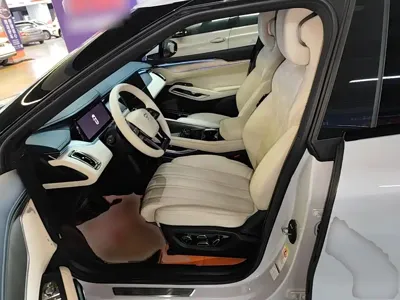 BYD L EV