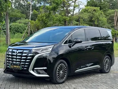 Denza Denza D9