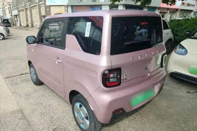 Geely Galaxy Panda