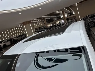 Volkswagen Viloran