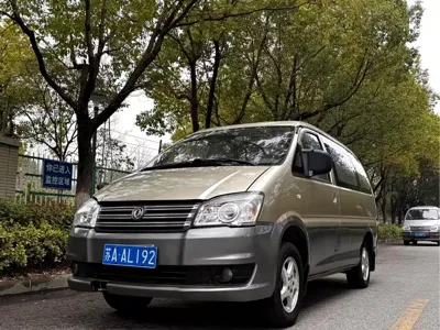 Fengxing Lingzhi